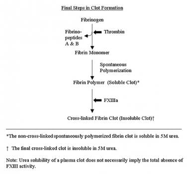 Final steps in clot formation (from article: Facto