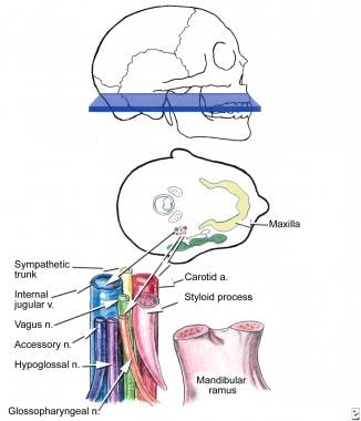 Dry Needling: How to Treat Scar Tissue to Mobilize & Regulate Autonomic  Sympathetic Hyperactivity