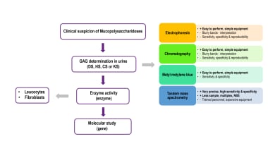 Morquio Syndrome (Mucopolysaccharidosis Type IV) Workup: Approach