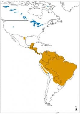 Geographical distribution of cutaneous and mucocut