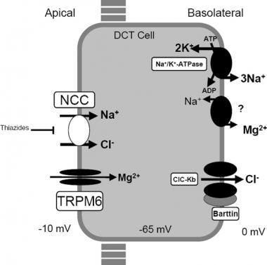 The Importance of Managing Potassium and Sodium as Part of a Well