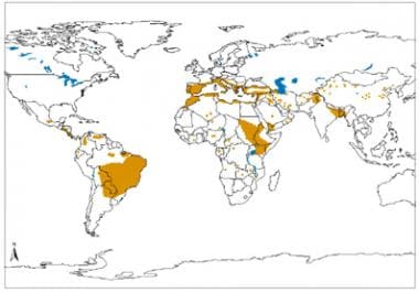 Geographical distribution of visceral leishmaniasi