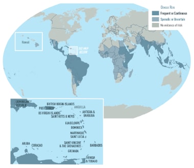 Global map of dengue risk. Frequent or continuous 