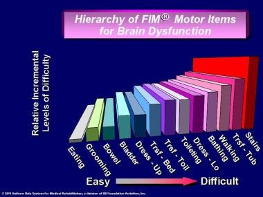 Hierarchy of FIM® instrument motor items for brain