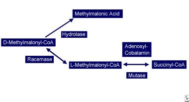 Vitamin B-12–associated neurological diseases. Cob