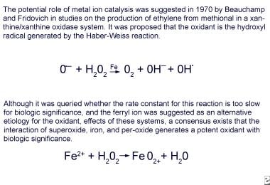 The oxidative potential of iron was first proposed