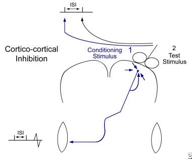 Double-pulse study. Using a common single coil, a 