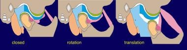 Movement of the temporomandibular joint (TMJ). 