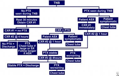 Transthoracic needle biopsy (TNB). Full flowchart 