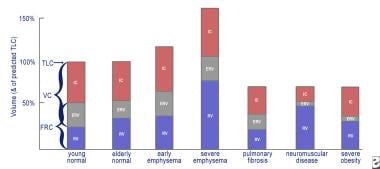 Tidal volume per kg body weight and mean inspiratory airflow. Calves