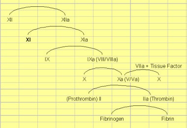 Factor XI deficiency. Diagram from the traditional