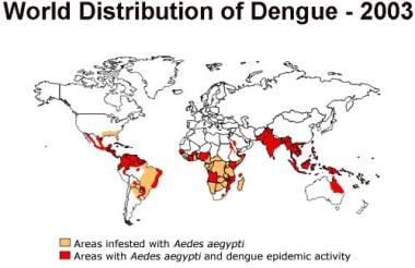 Worldwide distribution of dengue in 2003. Courtesy
