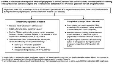 test positive pregnancy b plan & Approach Treatment Neonatal Sepsis Management: