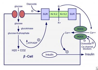 Mechanisms of insulin secretion. 