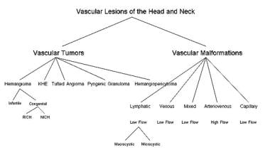 Classification of vascular lesions of the head and