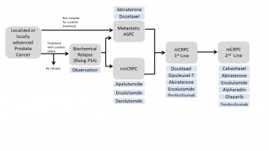 Rucaparib or Physician's Choice in Metastatic Prostate Cancer