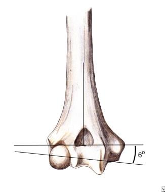 distal humerus anatomy