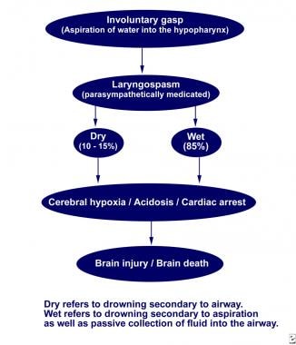 Mechanism of hypoxia in submersion injury. 