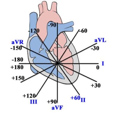 Electrocardiography Overview ECG Indications And Contraindications Electrocardiography Overview ECG Indications And Contraindications