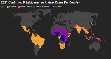 Confirmed P falciparum or P vivax Cases Per Countr