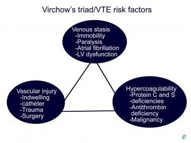 Virchow triad/venous thromboembolism (VTE) risk fa