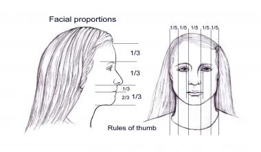 Ideal facial proportions believed to be in aesthet