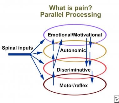 The Most Common Stressors That Cause Back Pain: John S. Michels