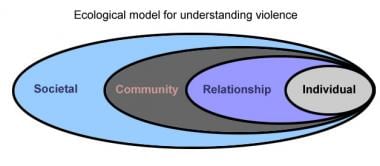 Ecological model for understanding violence. 