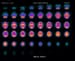 SPECT Brain Imaging