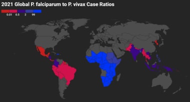 Global P falciparum to P vivax Case Ratios 2021. G