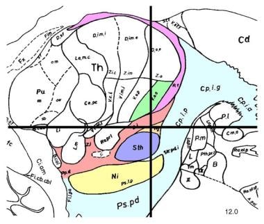 Sagittal section, 12 mm lateral of the midline, de