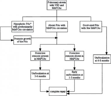 Pathophysiology Of Ventricular Septal Defect In Flow Chart