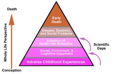 Adverse child experiences pyramid. 
