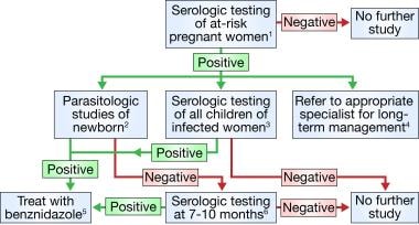 Blood Bank Testing Flow Chart