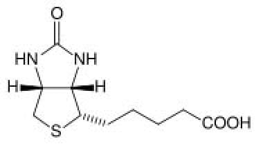 Biotin structure. 