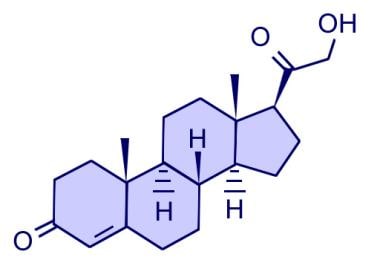 去氧皮质酮。