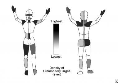 4.2 Proportions of the Body  Understanding the Whole Child