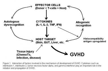 Interactive factors involved in the pathogenesis o