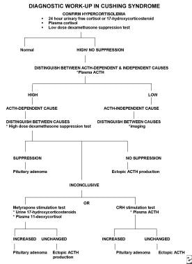 Pediatric Adrenal Gland Disorders Anatomy Embryology Physiology