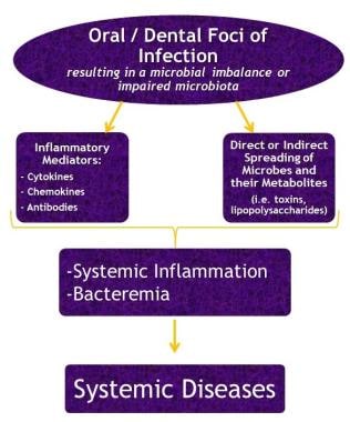 Flowchart showing the possible mechanisms linking 