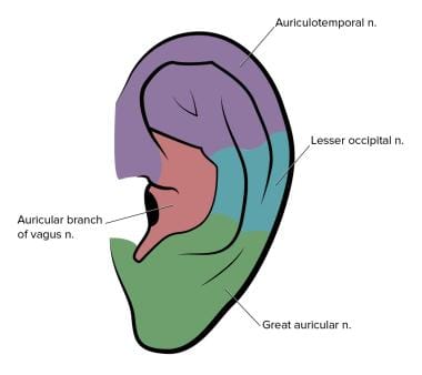 Ear Anesthesia Overview Indications Contraindications