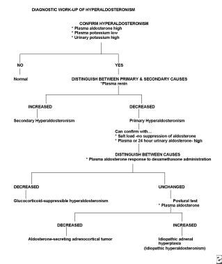 Pediatric Adrenal Gland Disorders: Anatomy, Embryology, Physiology