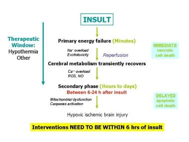 C-Sections to Prevent Hypoxic-Ischemic Encephalopathy (HIE)