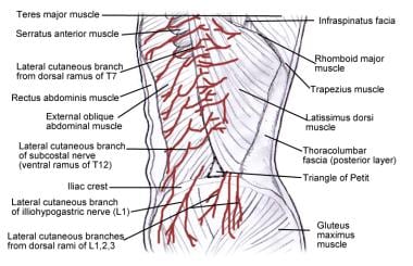 Anatomy of the transversus abdominis plane (TAP). (A) Diagram shows