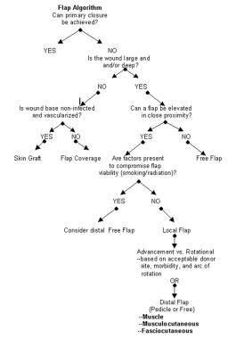 Muscle and Musculocutaneous Flaps: History, Definition, Flap Algorithm