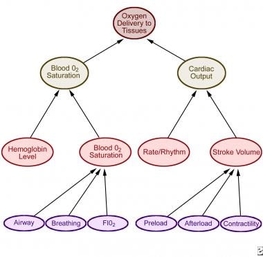 Toxic Shock Syndrome: Background, Pathophysiology, Etiology