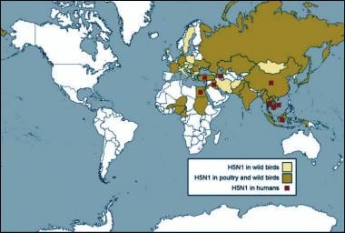 bird flu virus h5n1