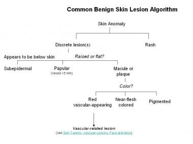 常见的良性皮肤病变算法。(概念和