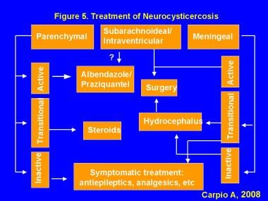 Treatment of Neurocysticercosis 