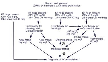 肝豆状核变性(WD)的诊断探讨i